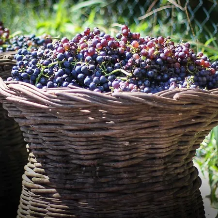 Pereira Place - Chalet São Vicente