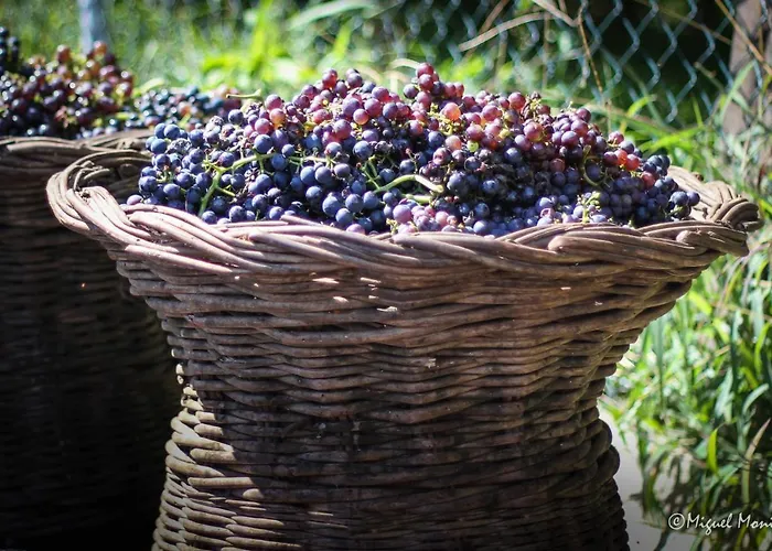 Pereira Place - Horská chata São Vicente